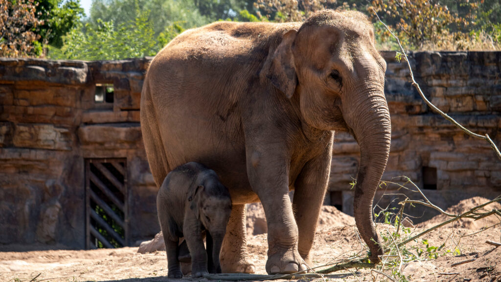 Zoo Karlsruhe