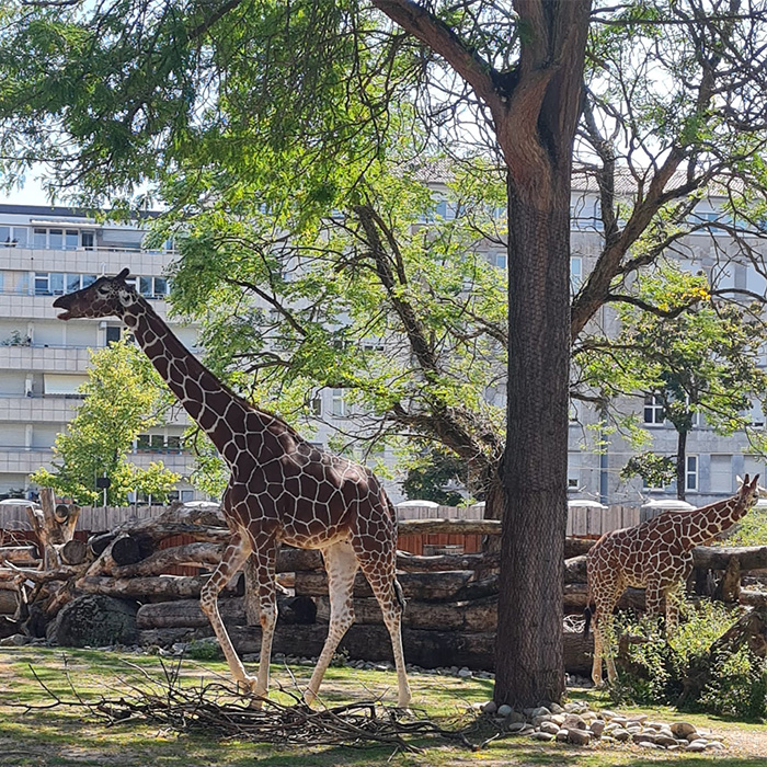 Ferientag: Karlsruher Zoo